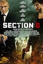 Section 8