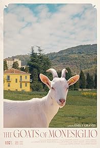 Primary photo for The Goats of Monesiglio