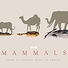 Mammals (2024)