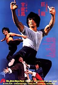 The Dragon's Snake Fist (1979)