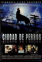 Ciudad de perros