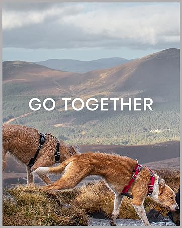 Go Together with two dogs adventuring with Kurgo Journey Harnesses