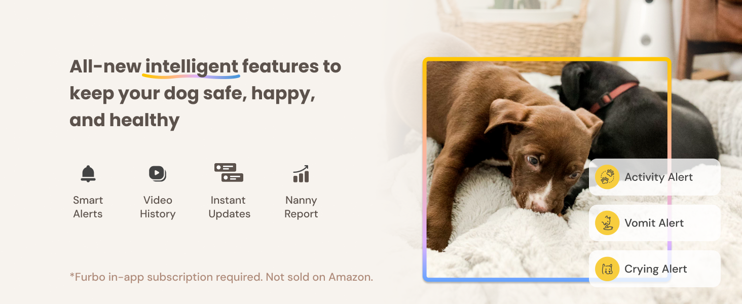 Furbo 360° Dog Camera  + AI-powered  Nanny Bundle