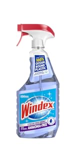 windex trigger