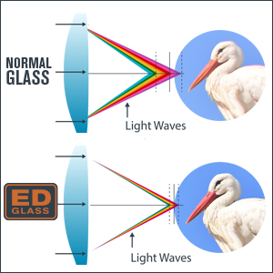 ED Objective Lenses