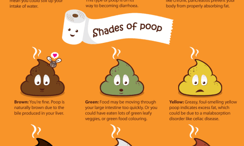 What's Your Poop Telling You