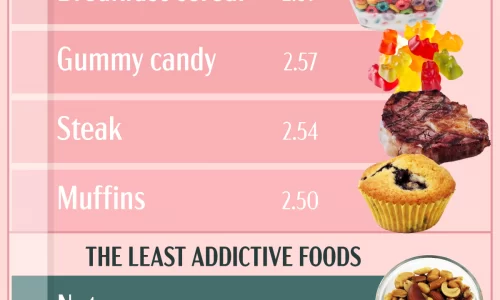 The Most Addictive Foods