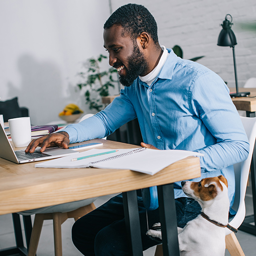 Businessman working on laptop and dog standing near.