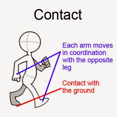 contact pose - cycle animation