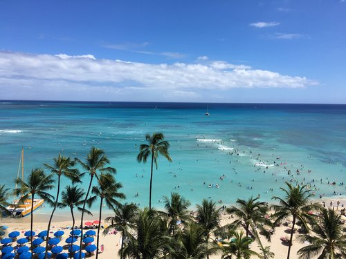 Waikiki