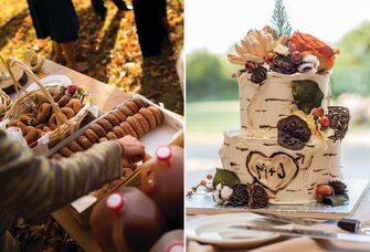 Fall engagement party ideas: apple cider and cider donuts, birch bark cake