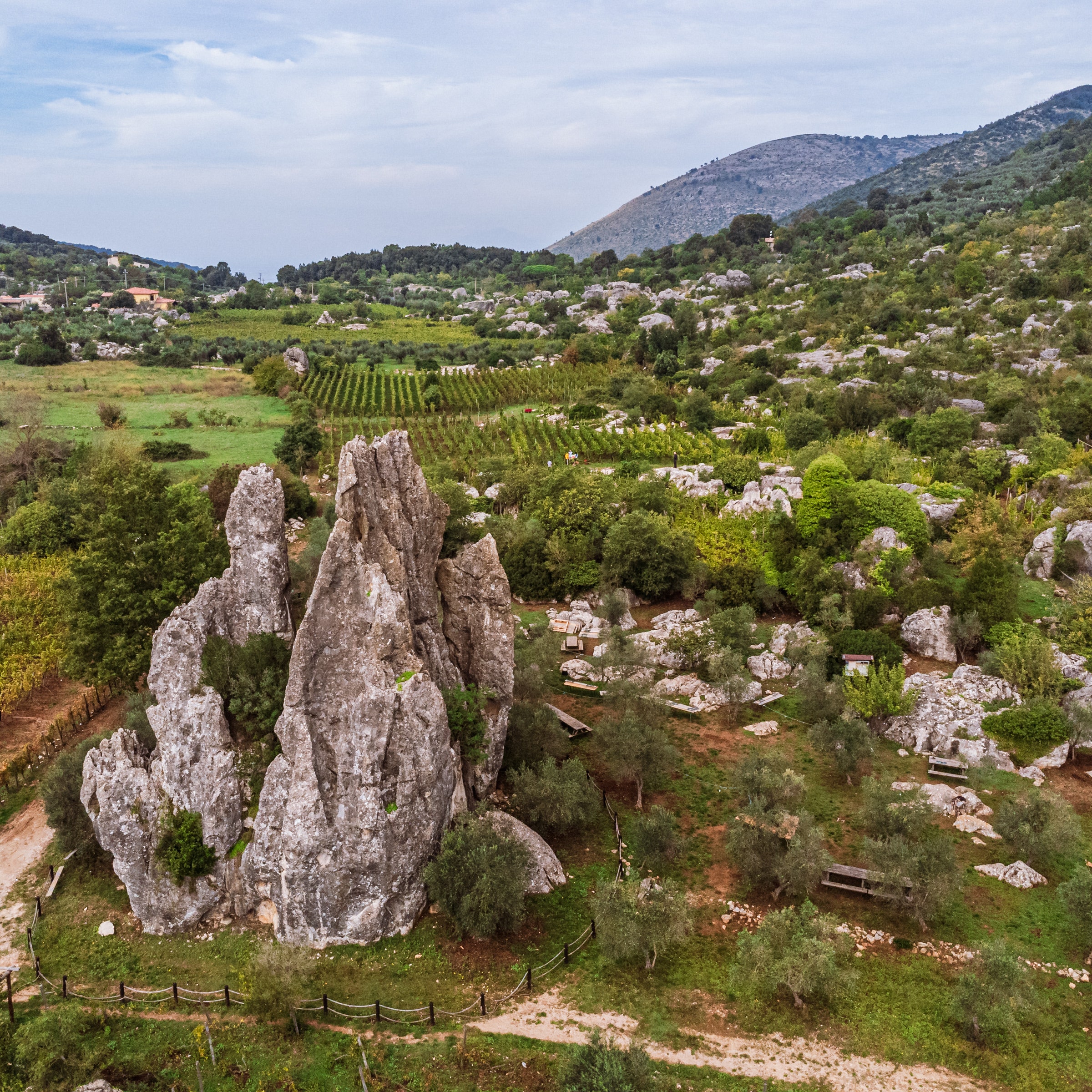 I vigneti eroici di Campo Soriano, a Terracina: gita fuori porta con agriturismo «wild» a un passo da Roma, in un altro mondo