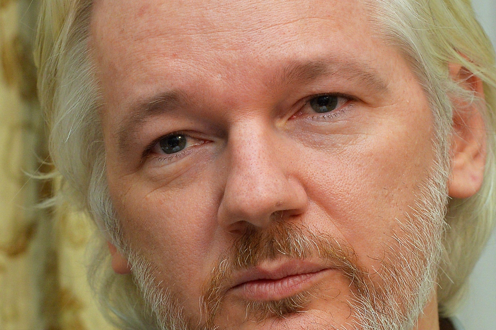 Wired intervista Julian Assange Google è la versione privata della Nsa