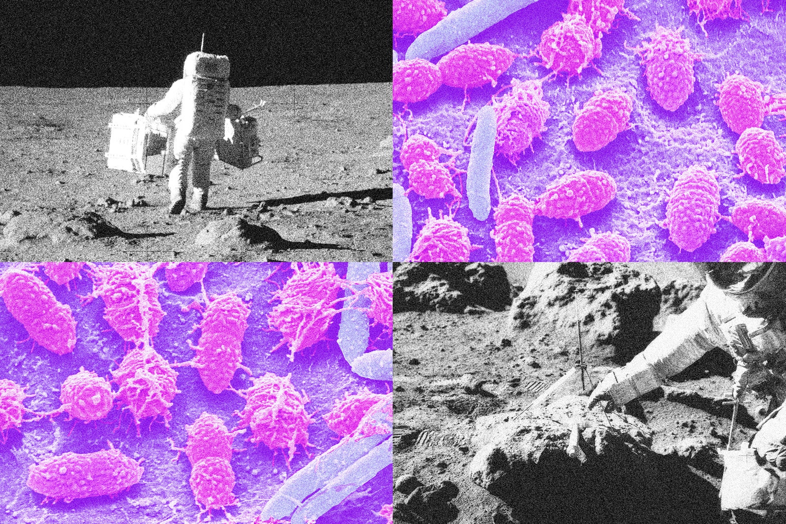 Dobbiamo capire come fare la cacca sulla Luna