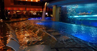 Piscina del Golden Nugget di Las Vegas