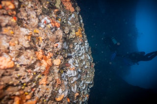 Un sub esplora la Grotta azzurra a largo di Taormina in provincia di Messina in Sicilia. La foto è stata scattata il 17...