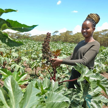 Mobilità sostenibile e agritech, i semi della nuova energia in Kenya