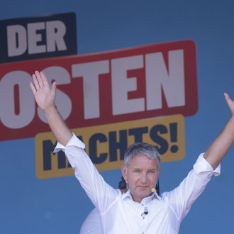 Cos'è Afd, Alternative für Deutschland, il partito di estrema destra tedesco