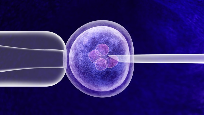 Nella fecondazione in vitro è possibile selezionare l'embrione potenzialmente più intelligente?