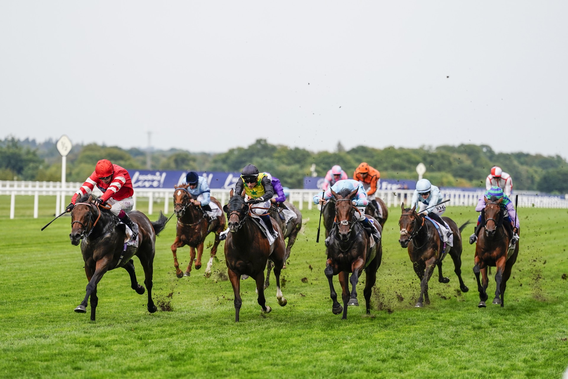 RACING PREVIEW - FRIDAY 6TH SEPTEMBER