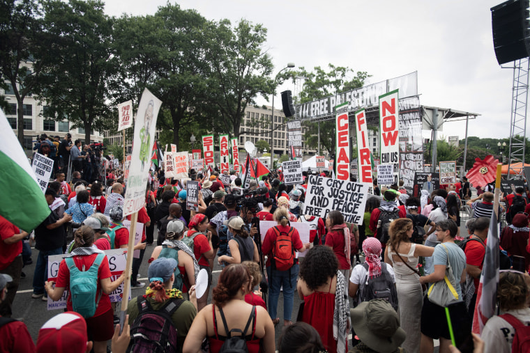 Pro-Palestinian demonstrators protest near the Capitol before Israeli Prime Minister Benjamin Netanyahu addresses a joint session of Congress on July 24, 2024.