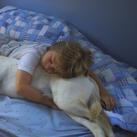 Boy sleeping on bed with dog