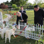 North Korea’s Kim gives pair of dogs to Putin