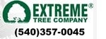 Extreme Tree Company logo