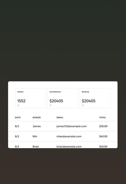 Analytics dashboard view showing audience engagement data and donor contribution history.