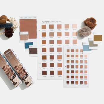 Color del Año 2025: Pantone revela el color que reinará el próximo año