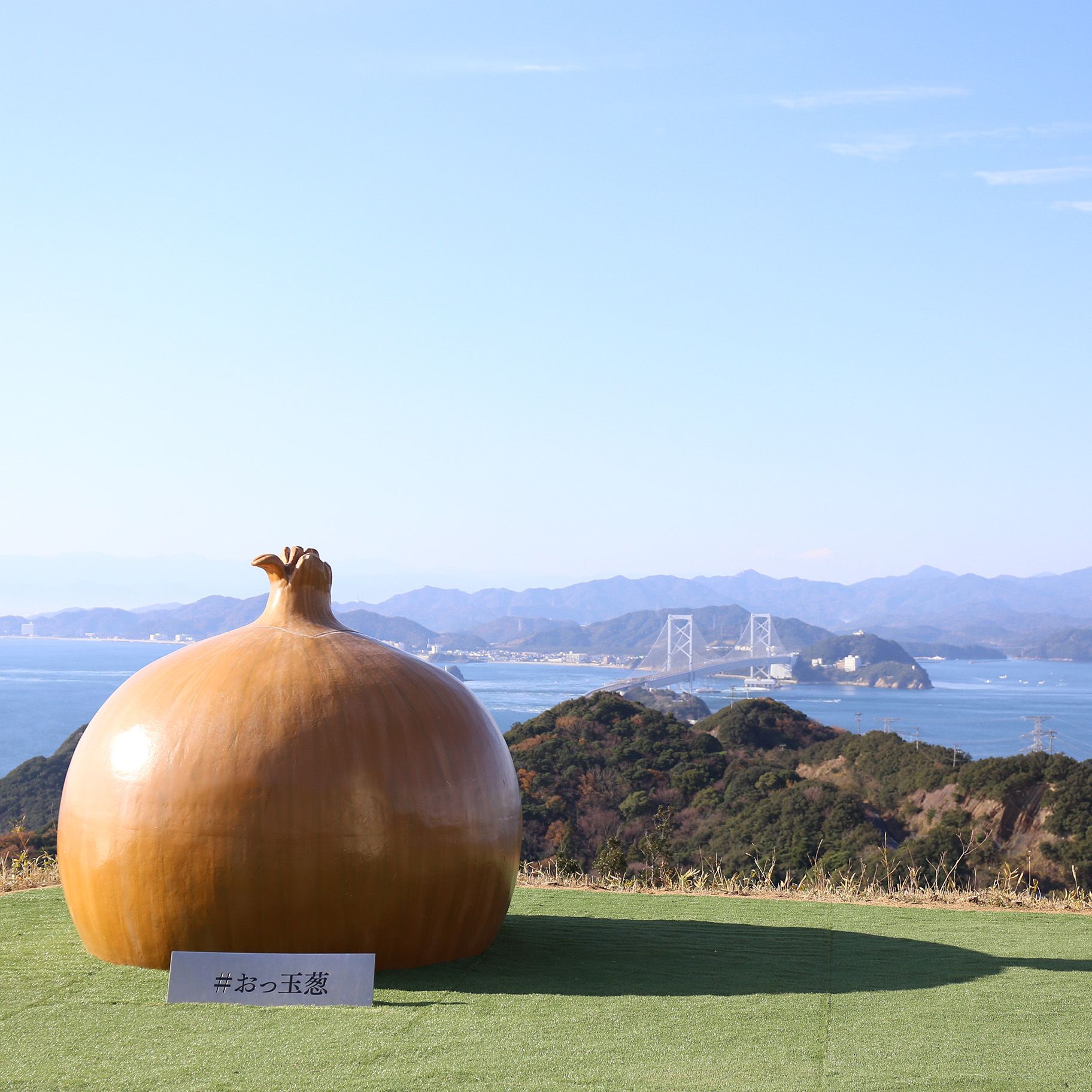 Au Japon, cette île honore l'oignon sous toutes ses formes