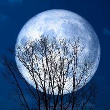 How November 2023's Full Moon Will Impact You, Astrologically