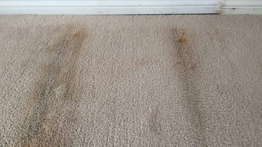 Carpet flooring before renovation