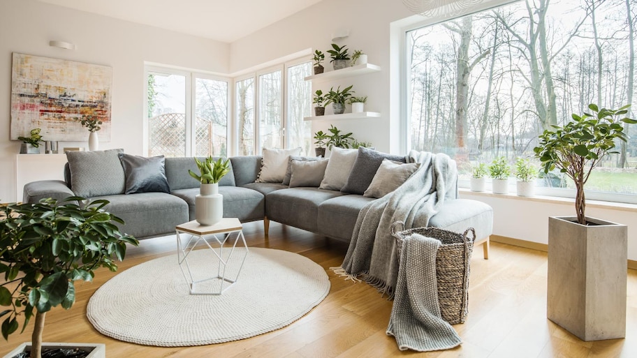 Fresh green plants in white living room interior