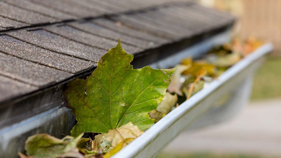 Close up of house gutter clogged with leaves