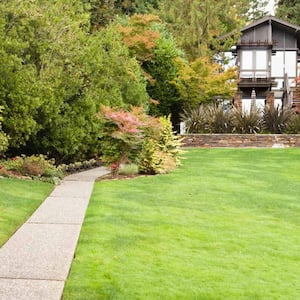 House with a large backyard