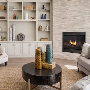 Living Room Interior in New Home with Furniture and Fireplace