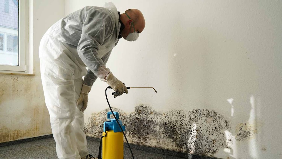 Man cleaning mold on wall 