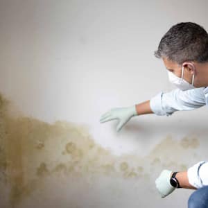 Man in front of white wall with mold
