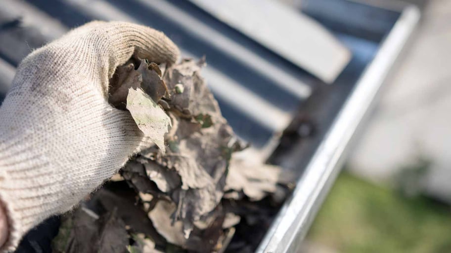 Man removing gutter leaves