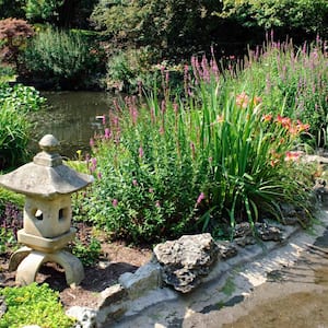 Oriental garden with pond