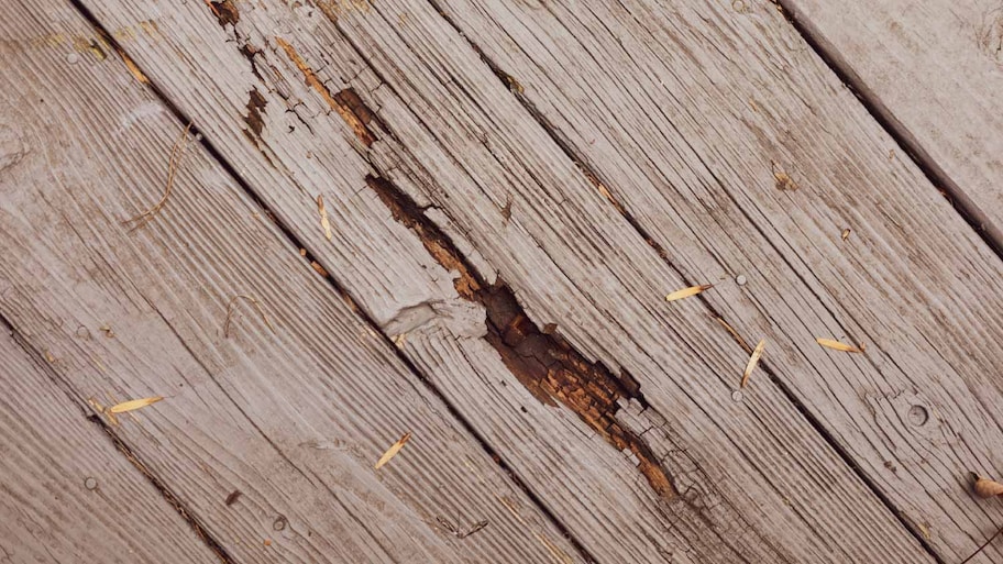 Rotting wood on outdoor patio