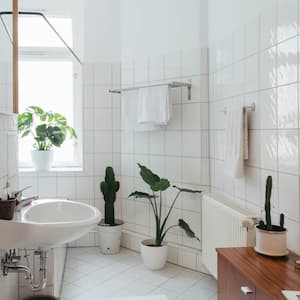 A minimalist white bathroom