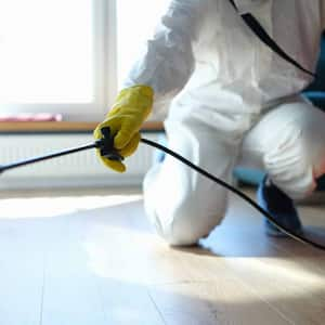 Worker disinfecting apartment