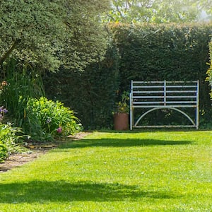 Landscaped garden with a bench