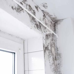 Water damage in bathroom