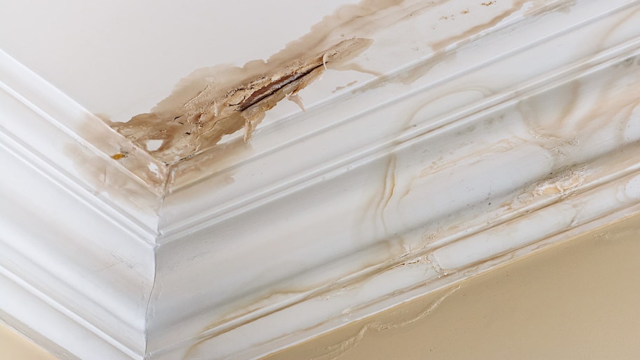 ceiling water damage 