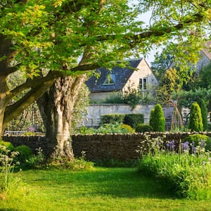 A garden with trees