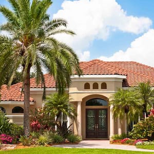 luxury home with palm trees on lawn