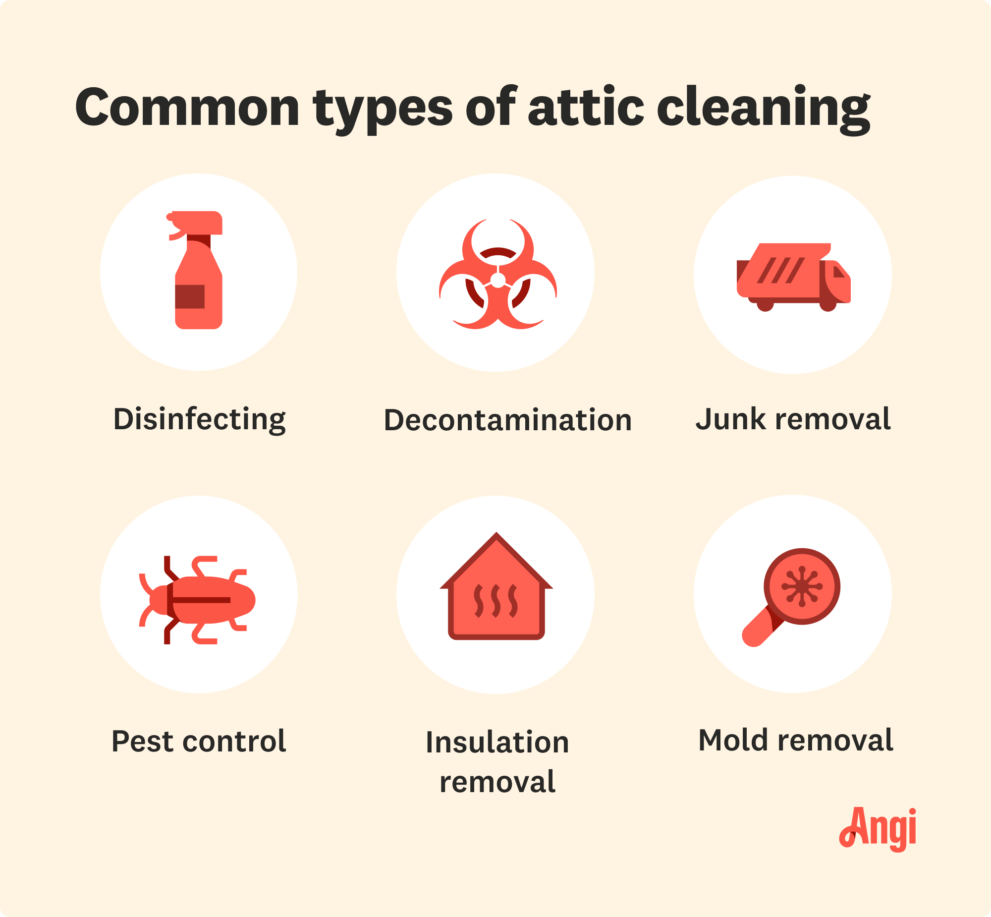 6 common types of attic cleaning, including disinfecting, junk removal, and pest control